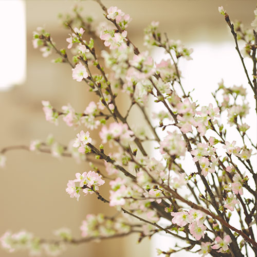 【日比谷花壇】お正月 ボックスフラワー「啓翁桜」